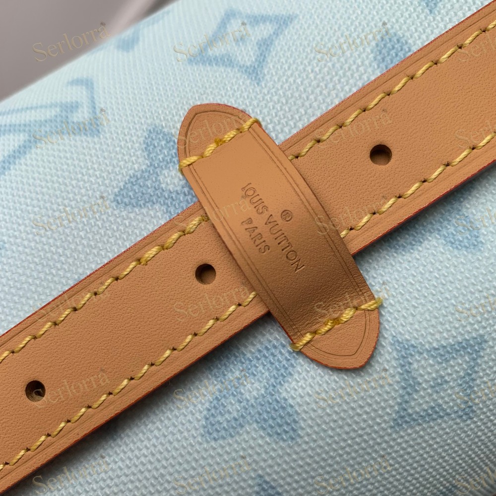LOUIS VUITTON CARRYALL PM