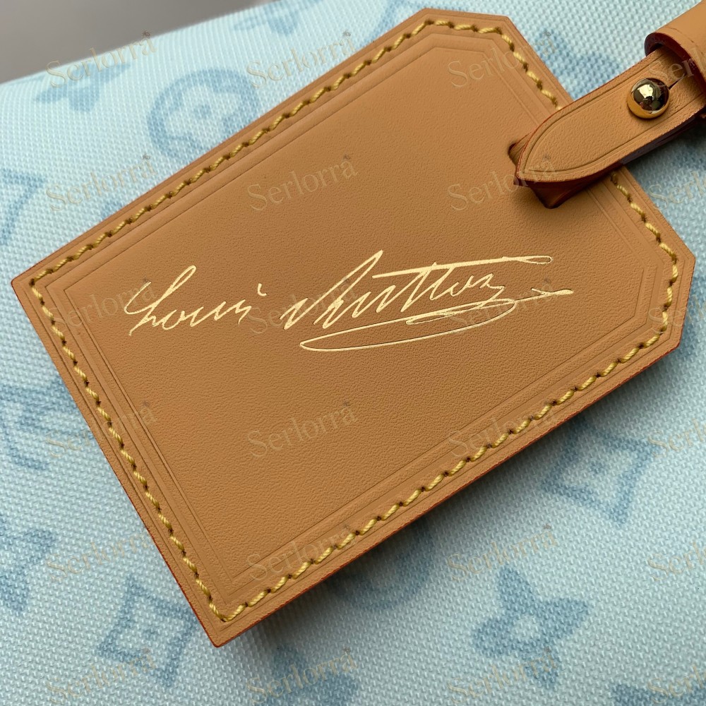 LOUIS VUITTON CARRYALL PM