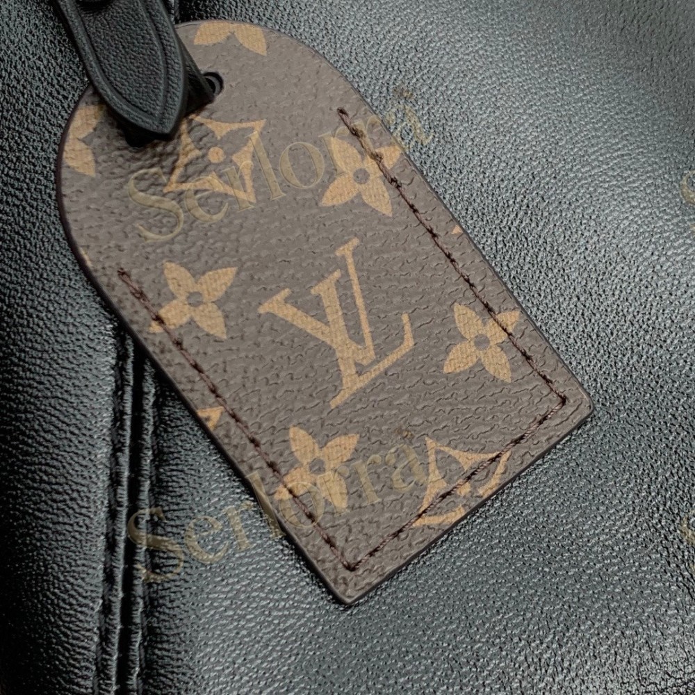 LOUIS VUITTON CARRYALL VIBE BB