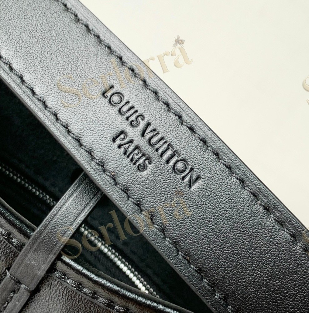 LOUIS VUITTON CARRYALL VIBE BB