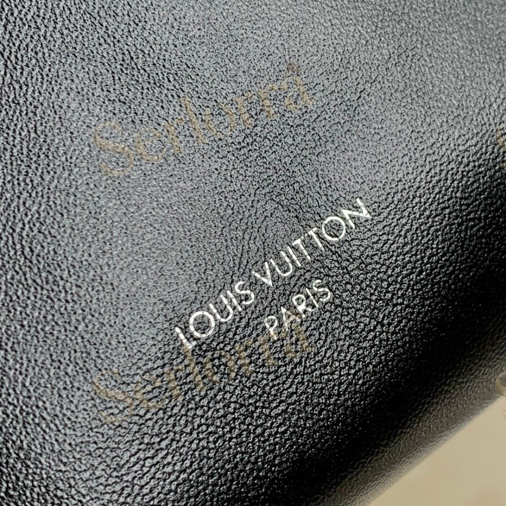 LOUIS VUITTON CARRYALL VIBE BB