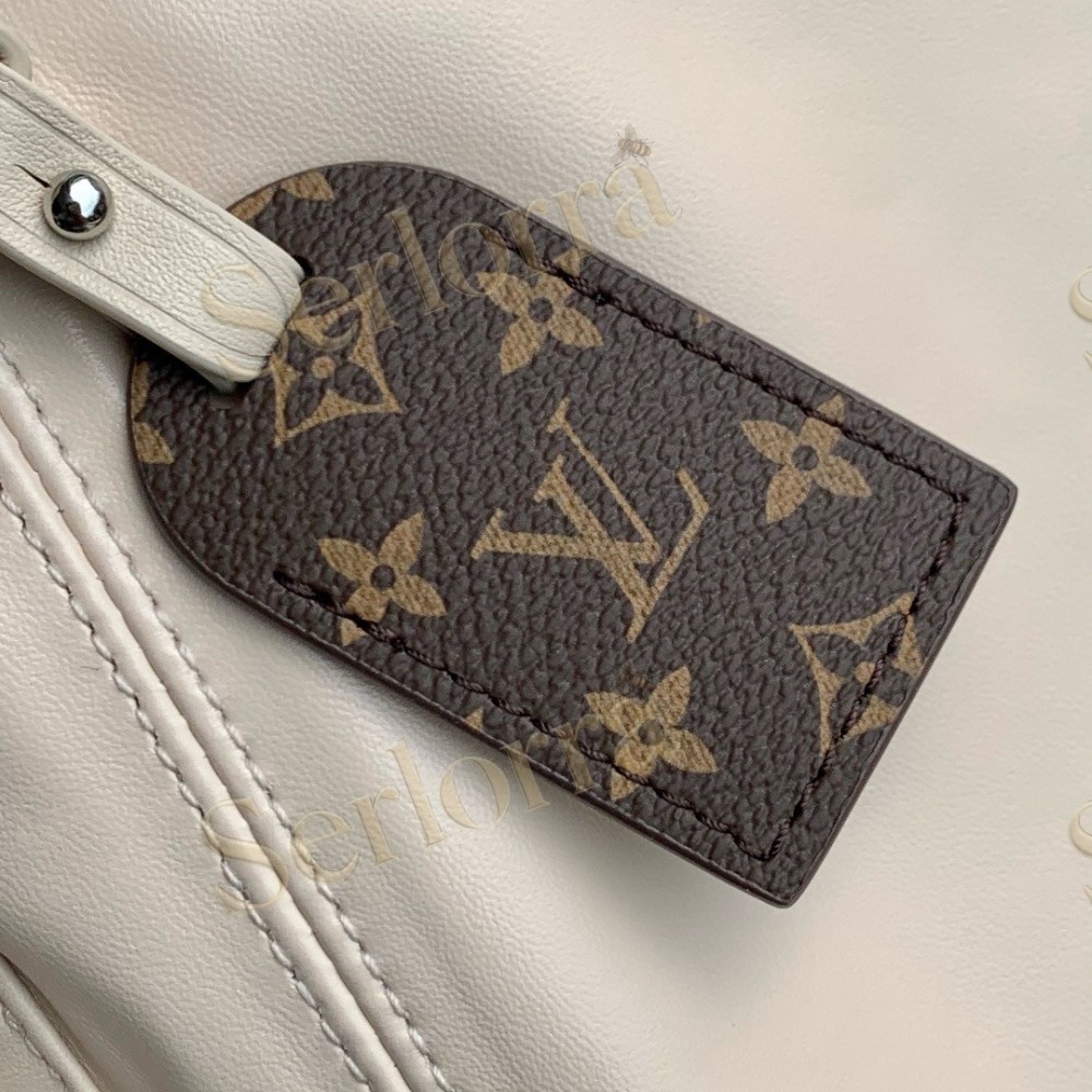 LOUIS VUITTON CARRYALL CARGO VIBE PM BAG