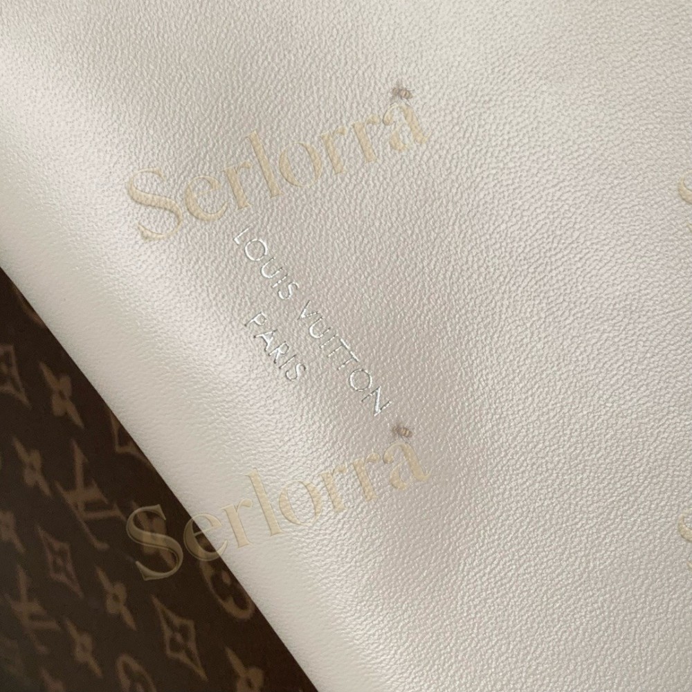 LOUIS VUITTON CARRYALL CARGO VIBE PM BAG
