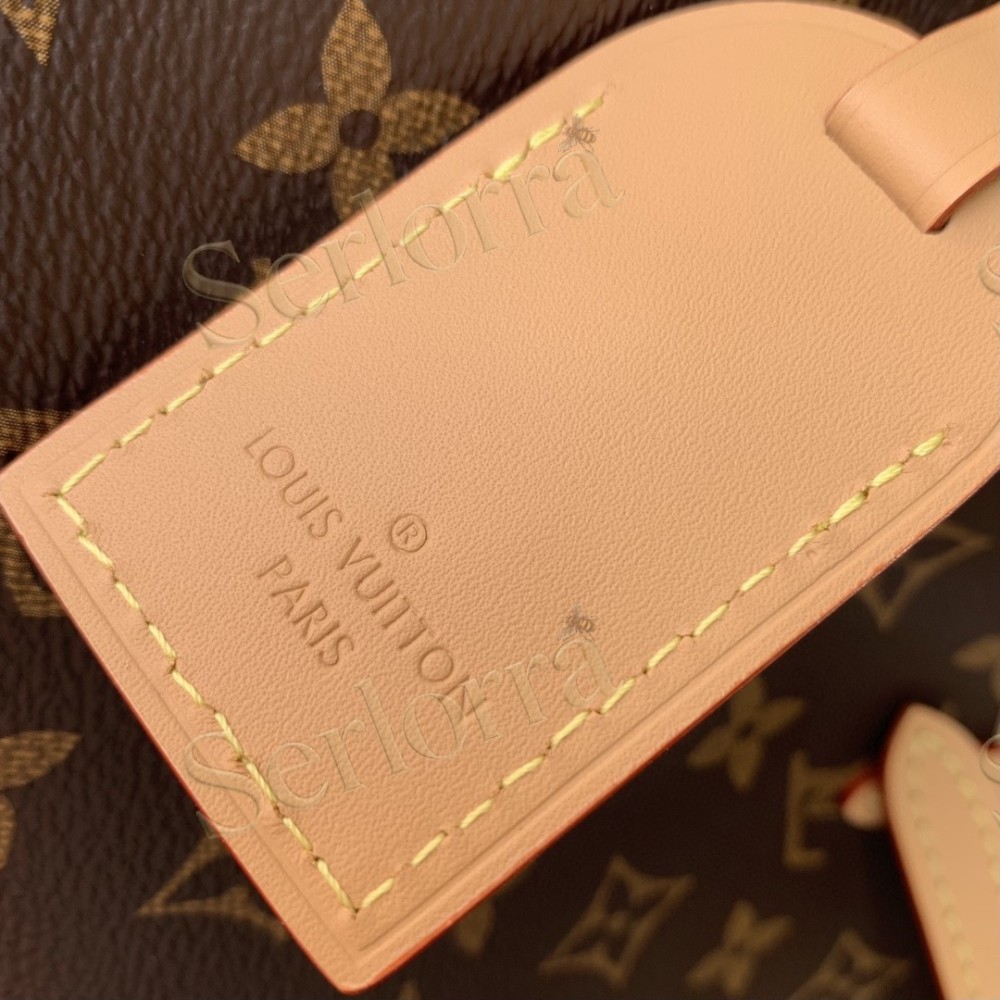 LOUIS VUITTON CARRYALL BB