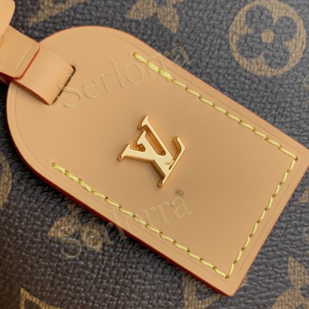 LOUIS VUITTON CARRYALL BB