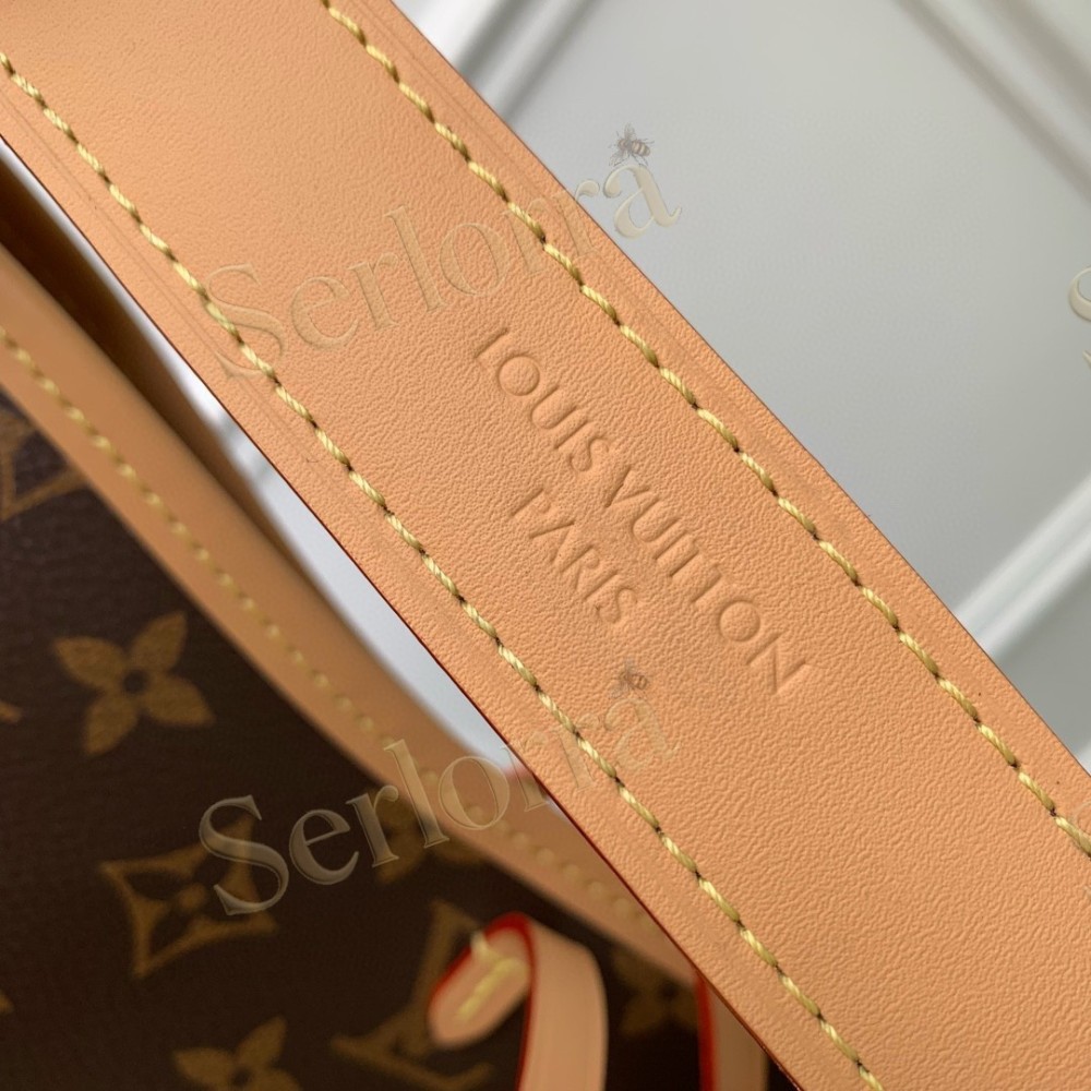 LOUIS VUITTON CARRYALL BB