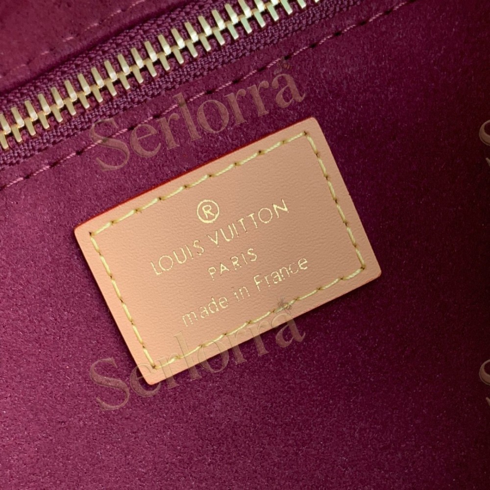 LOUIS VUITTON CARRYALL BB