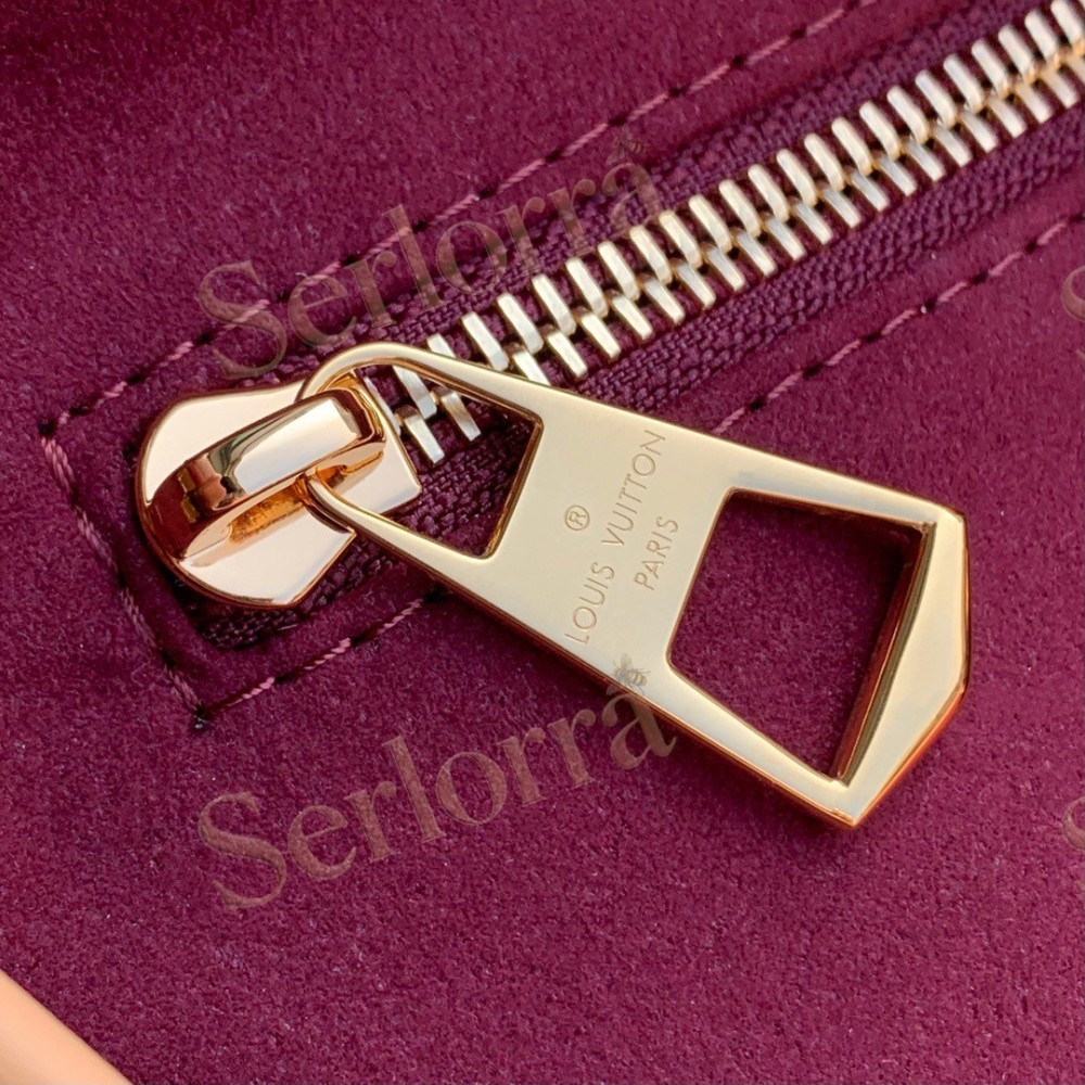 LOUIS VUITTON CARRYALL BB