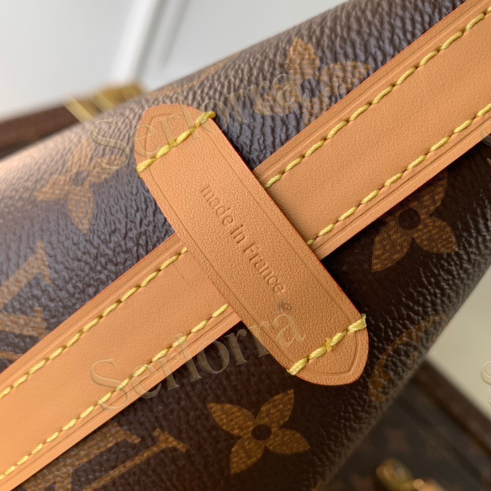 LOUIS VUITTON CARRYALL BB