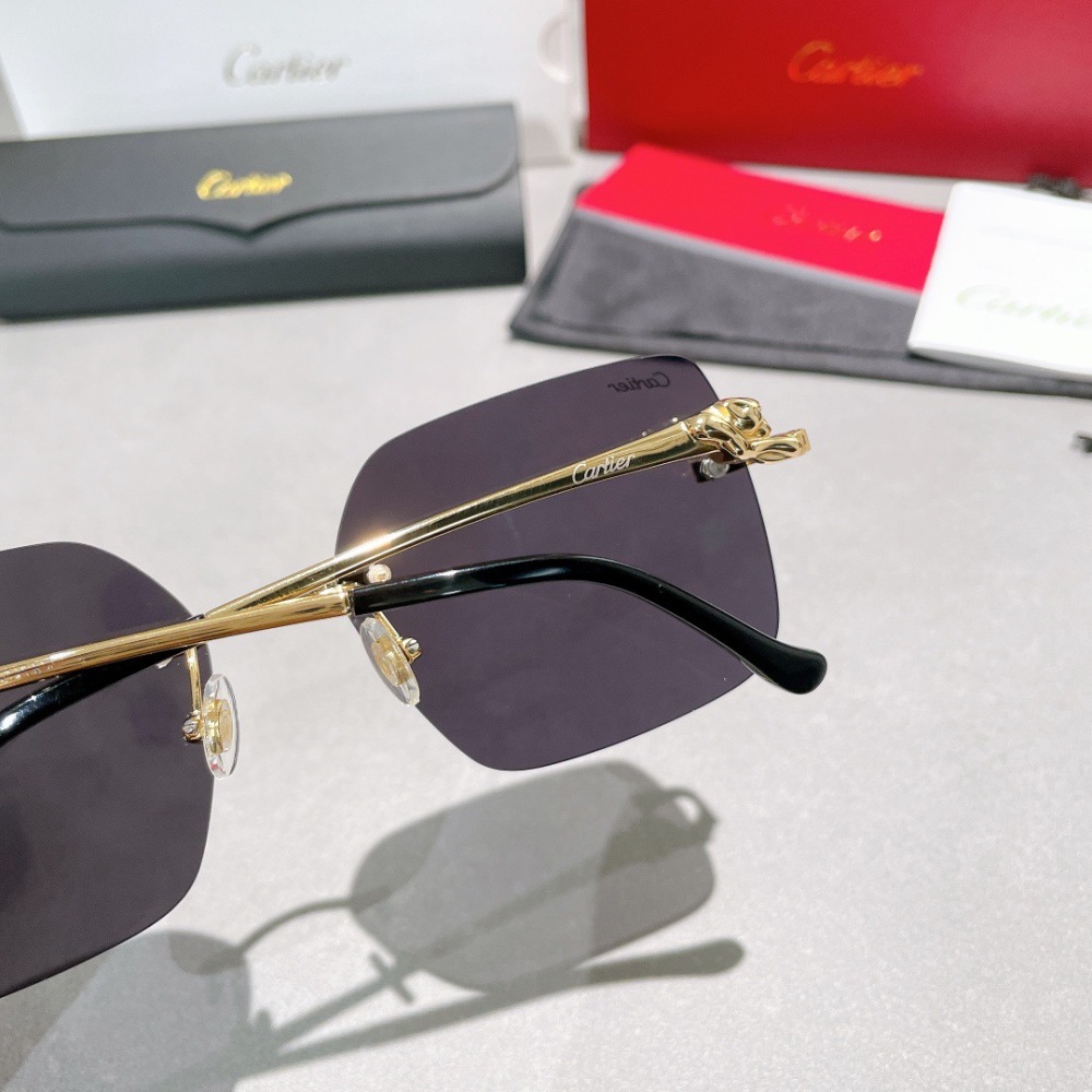 CARTIER SUNGLASSES