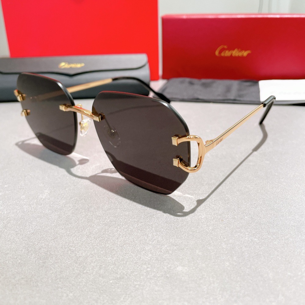 CARTIER SUNGLASSES