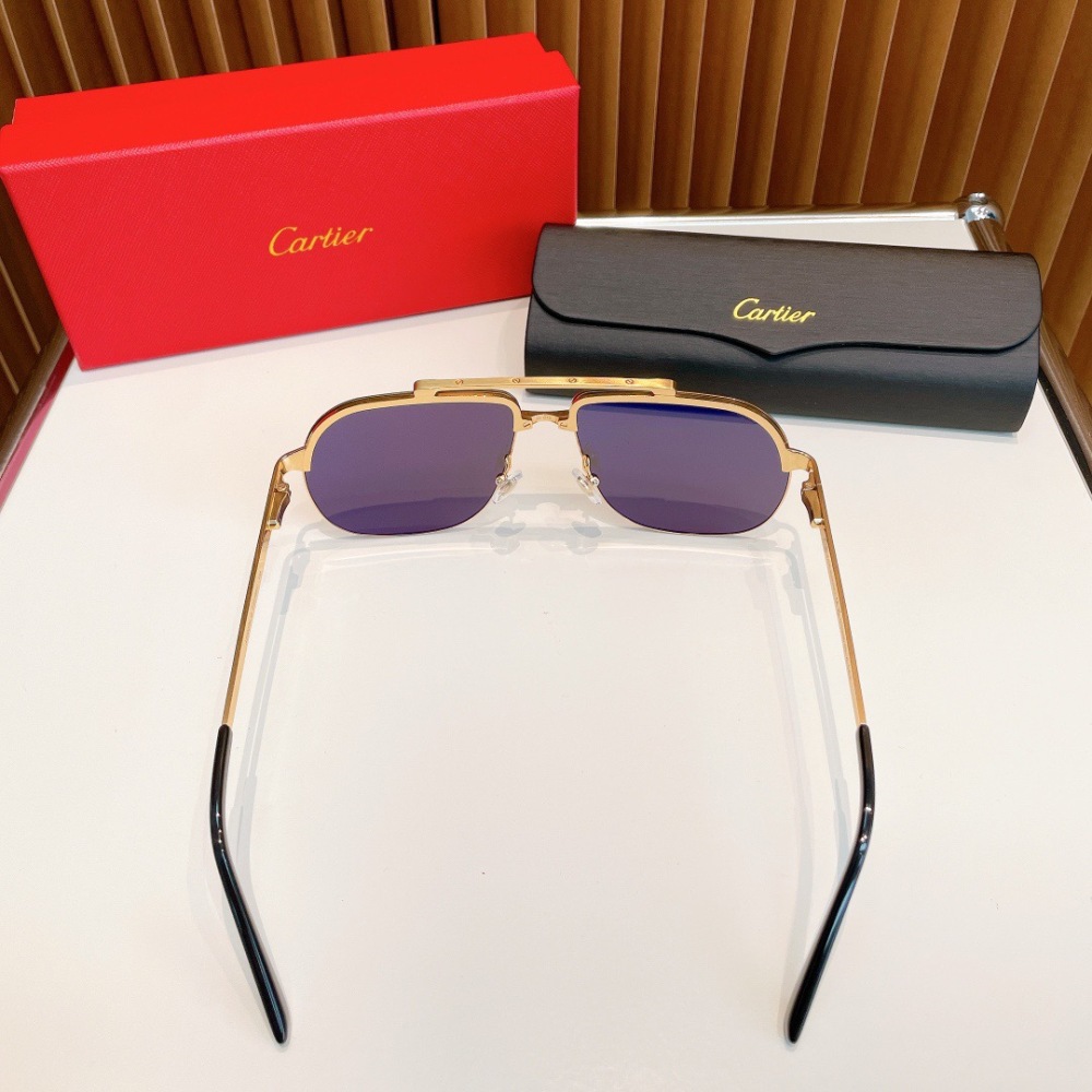 CARTIER SUNGLASSES