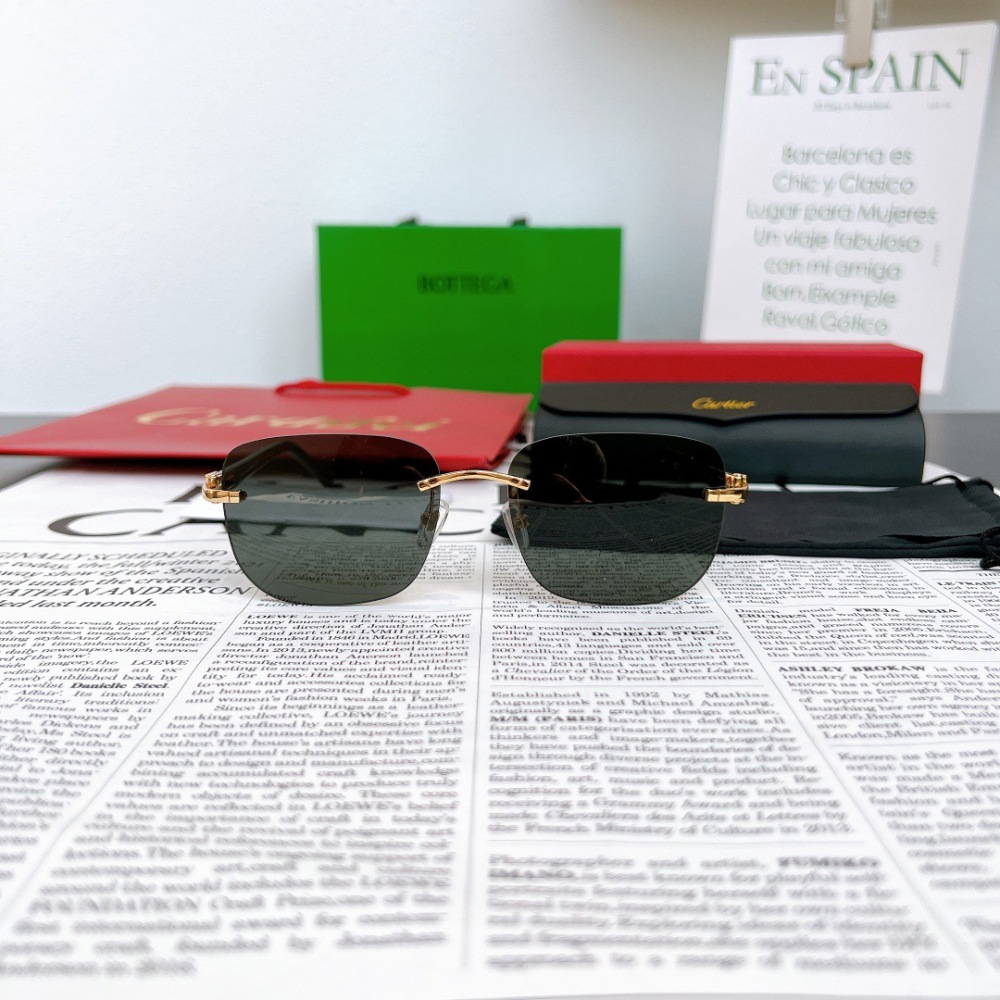 CARTIER SUNGLASSES