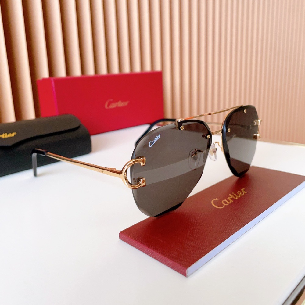 CARTIER SUNGLASSES