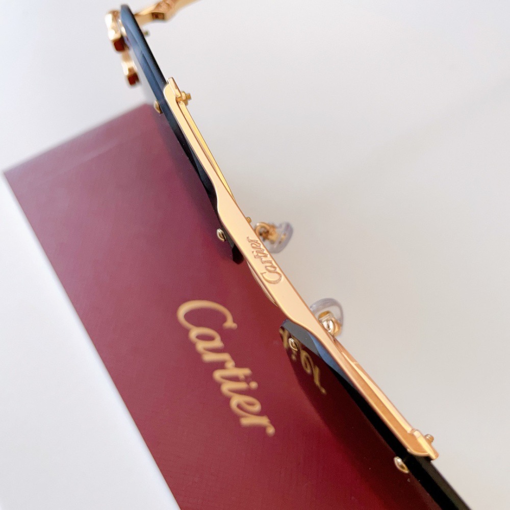 CARTIER SUNGLASSES