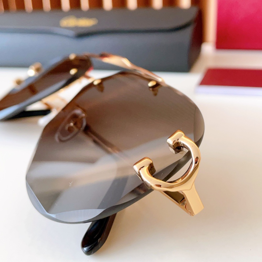 CARTIER SUNGLASSES