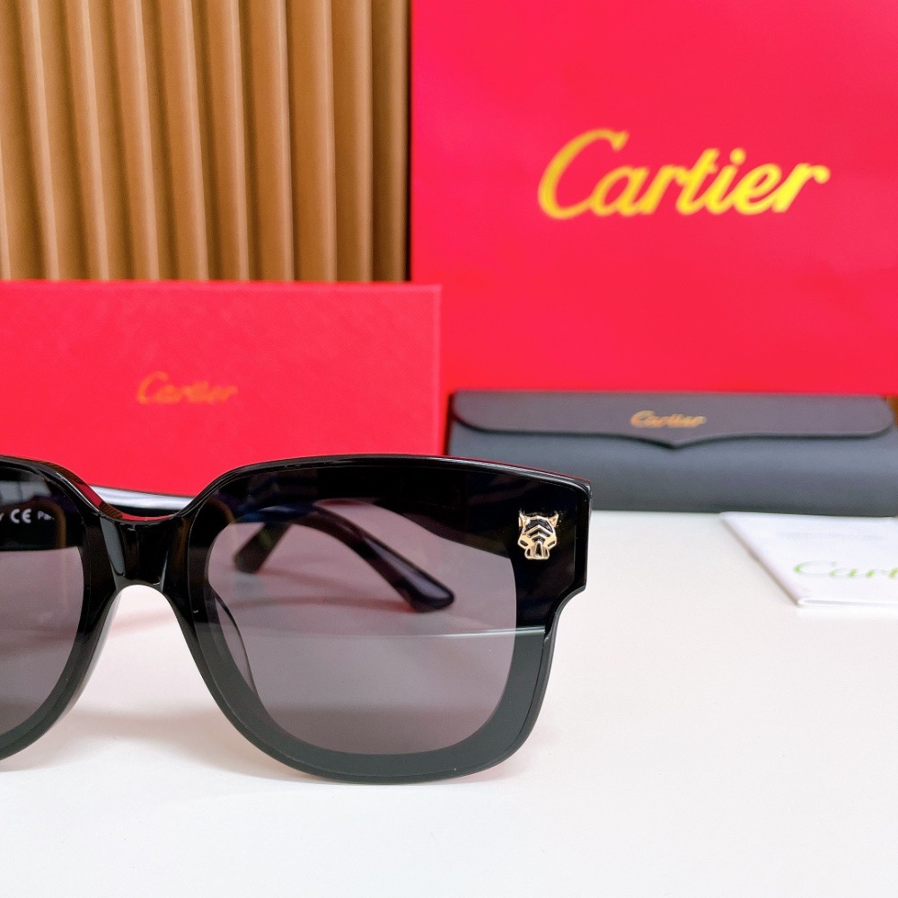 CARTIER SUNGLASSES