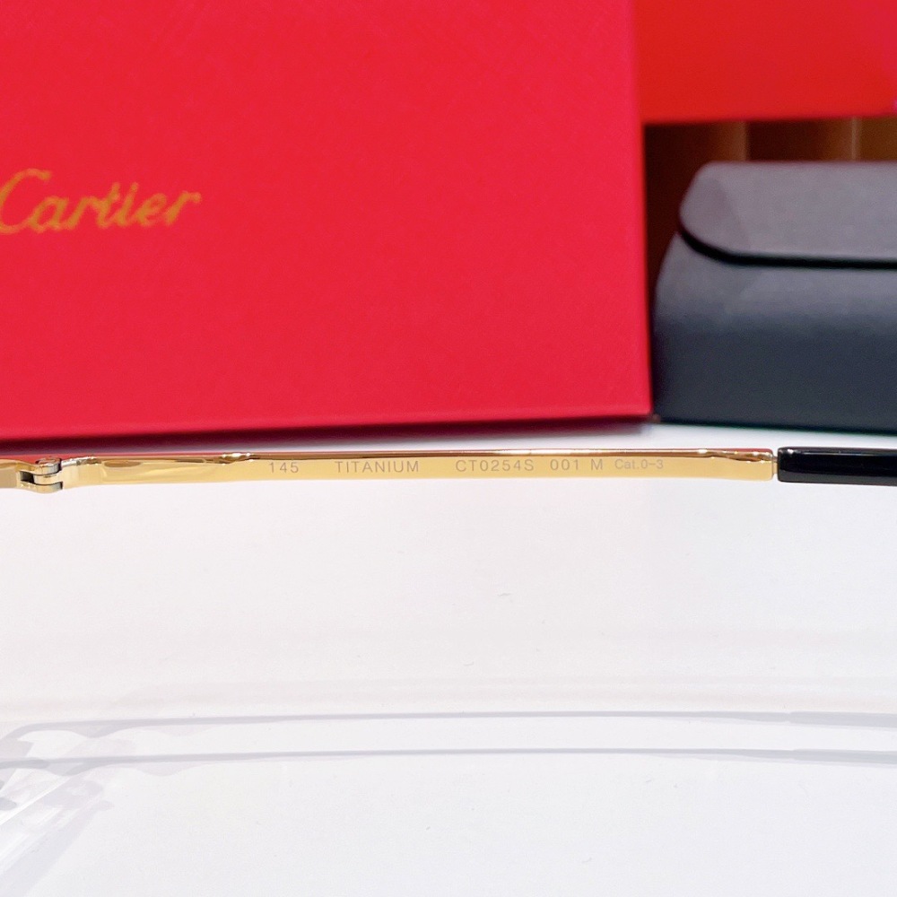CARTIER GLASSES