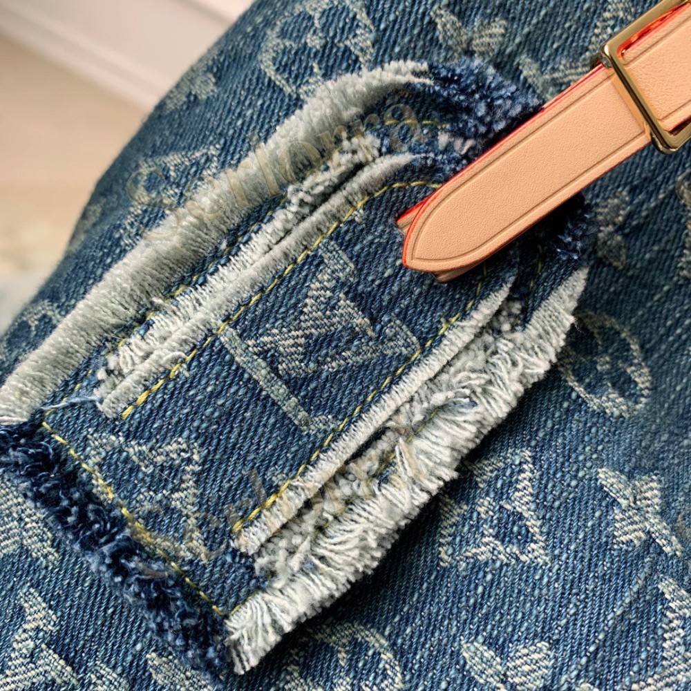 LOUIS VUITTON DENIM CARRYALL MM