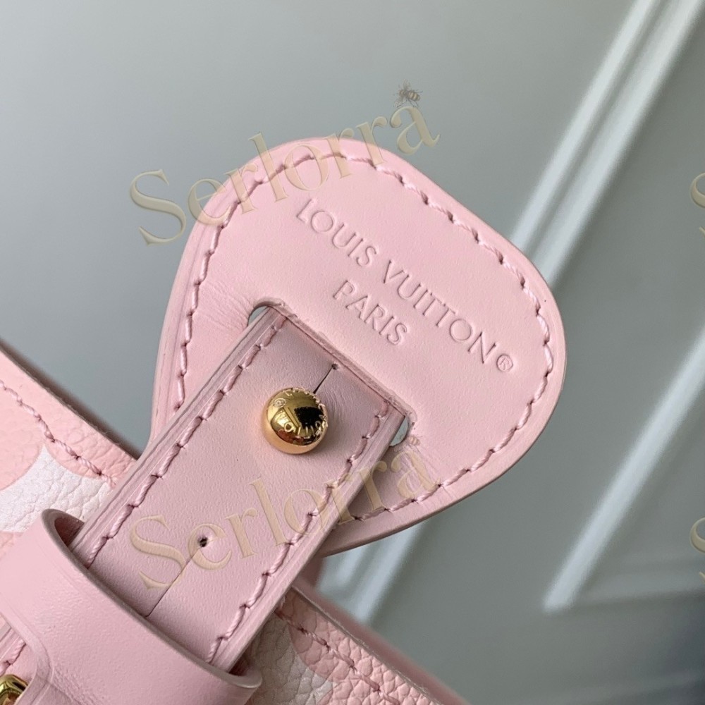 LOUIS VUITTON ALL IN BB