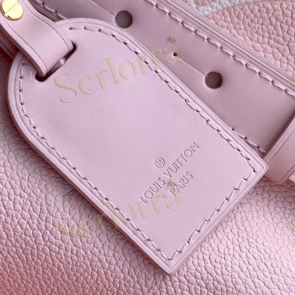 LOUIS VUITTON ALL IN BB