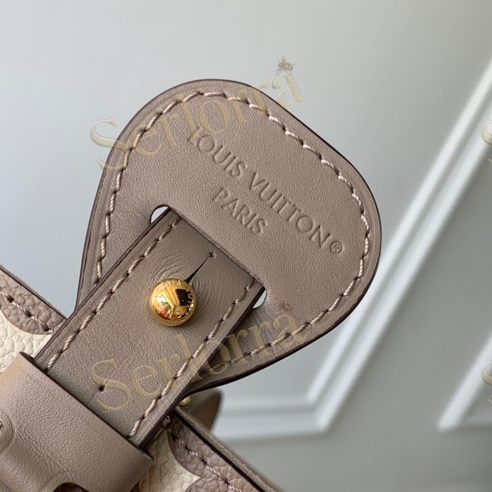 LOUIS VUITTON ALL IN BB