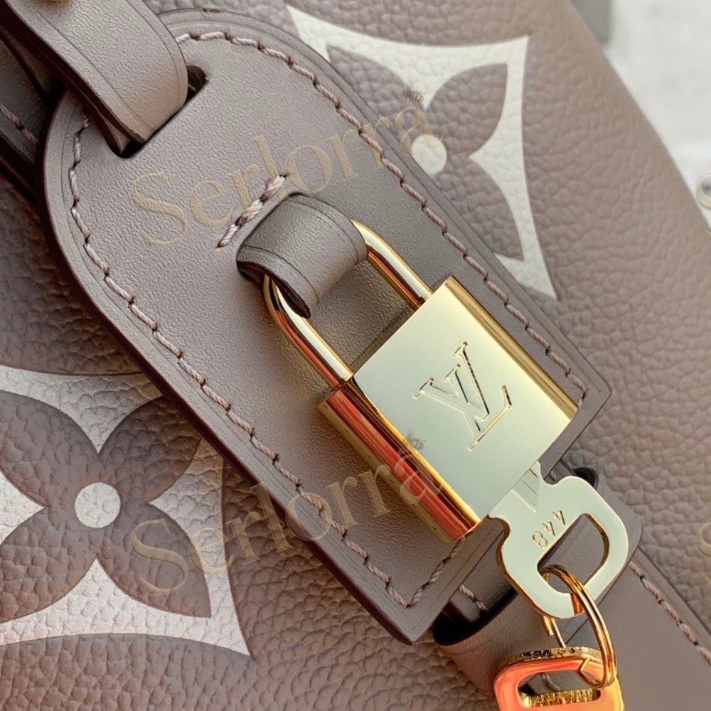 LOUIS VUITTON ALL IN BB