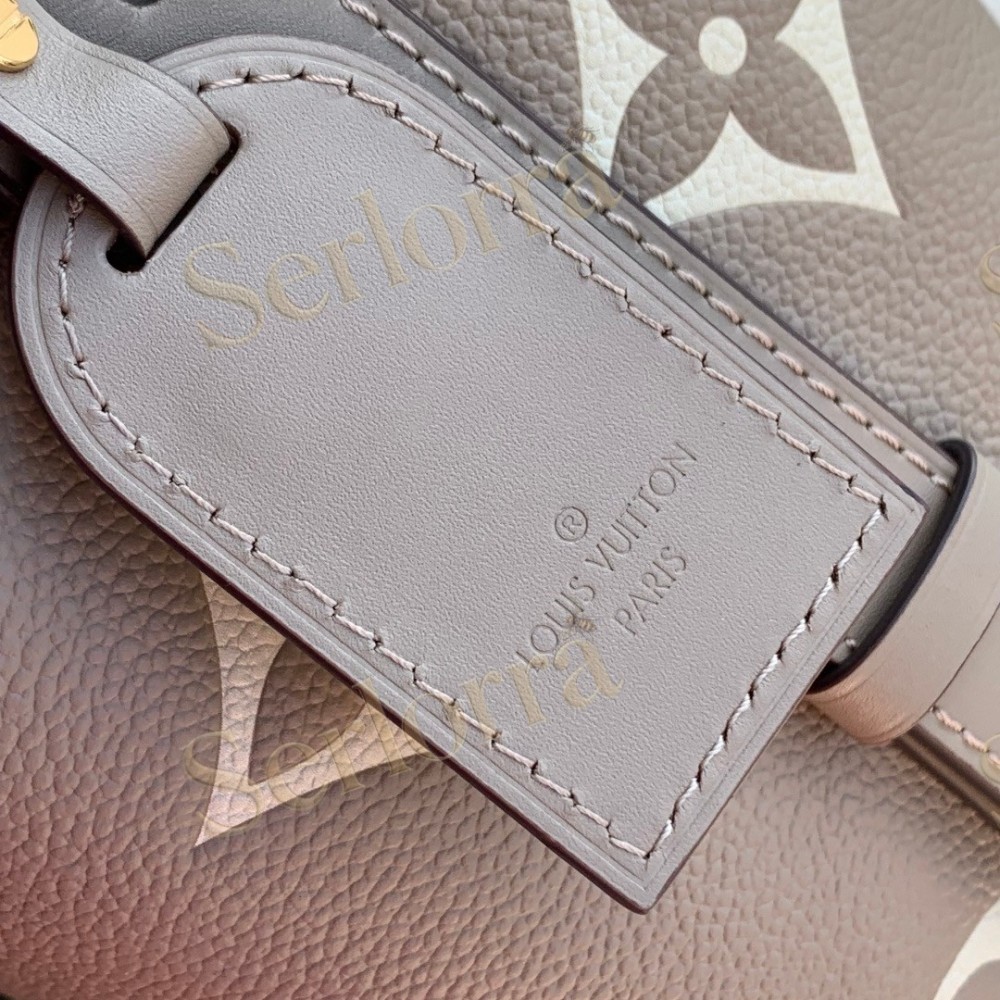 LOUIS VUITTON ALL IN BB