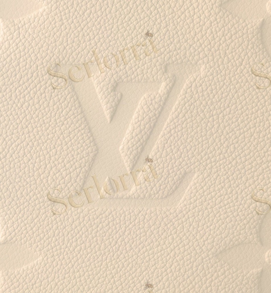 LOUIS VUITTON LOOP HOBO