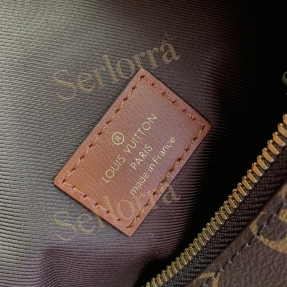 LOUIS VUITTON LOOP HOBO