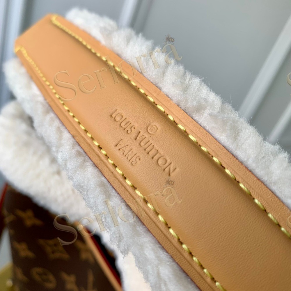 LOUIS VUITTON NÉONOÉ BUCKET BAG BB
