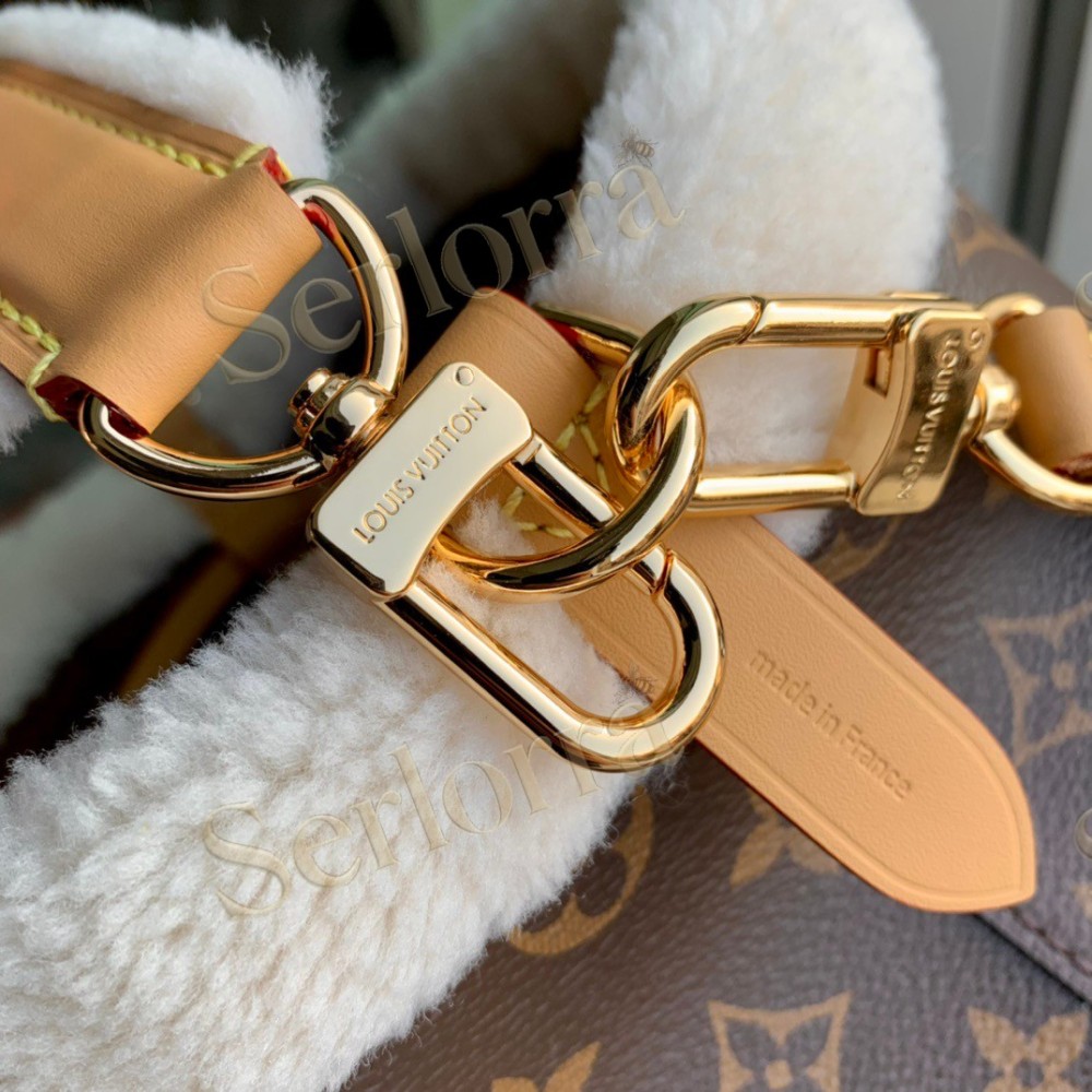 LOUIS VUITTON NÉONOÉ BUCKET BAG BB