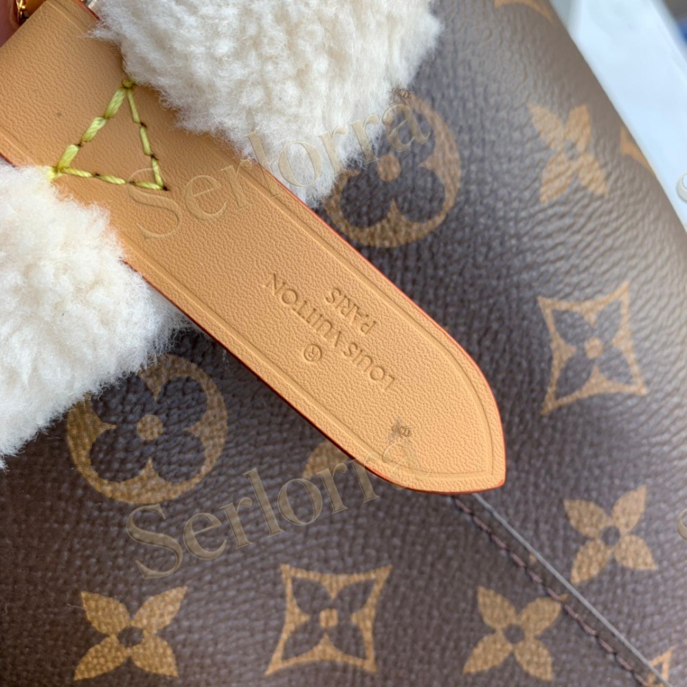 LOUIS VUITTON NÉONOÉ BUCKET BAG BB