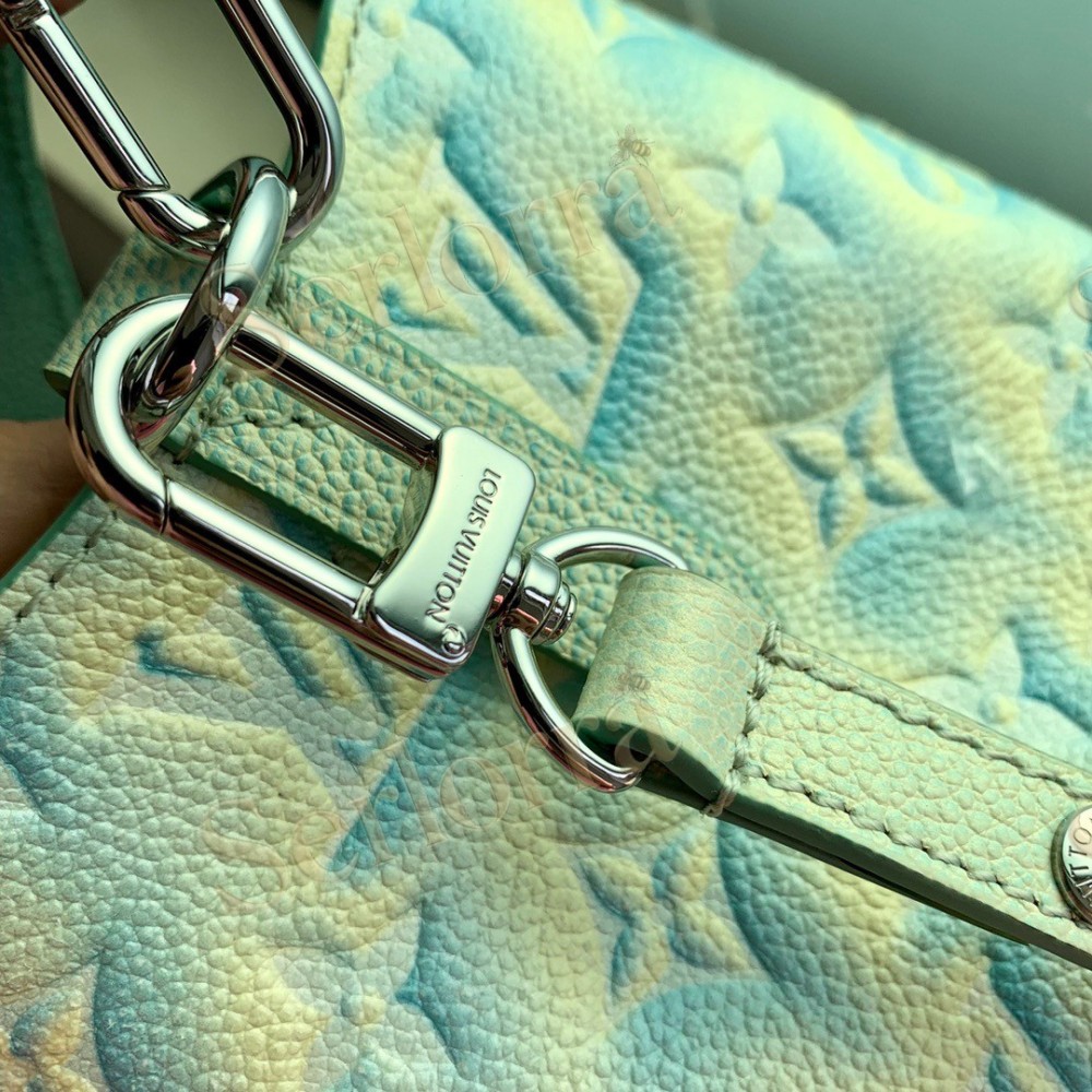 LOUIS VUITTON NÉONOÉ BUCKET BAG BB