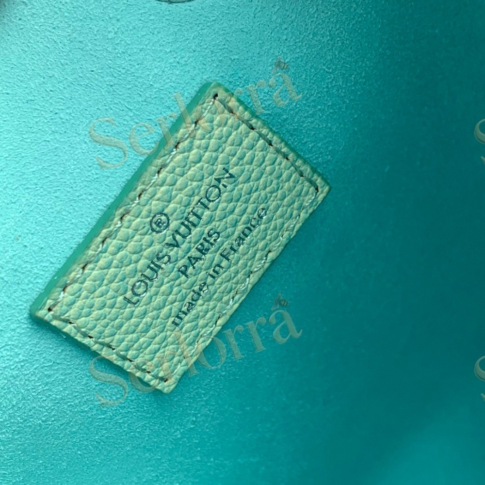 LOUIS VUITTON NÉONOÉ BUCKET BAG BB