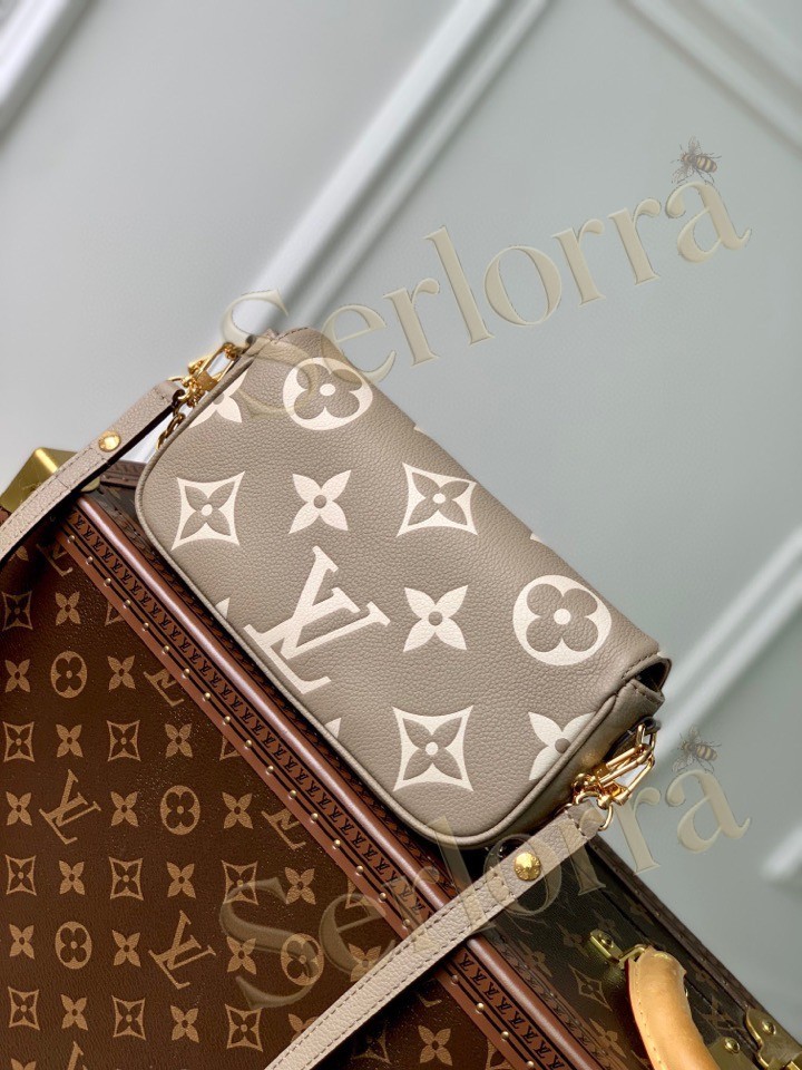 LOUIS VUITTON WALLET ON CHAIN IVY
