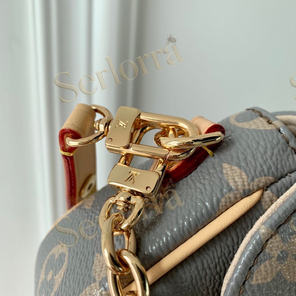 LOUIS VUITTON WALLET ON CHAIN IVY