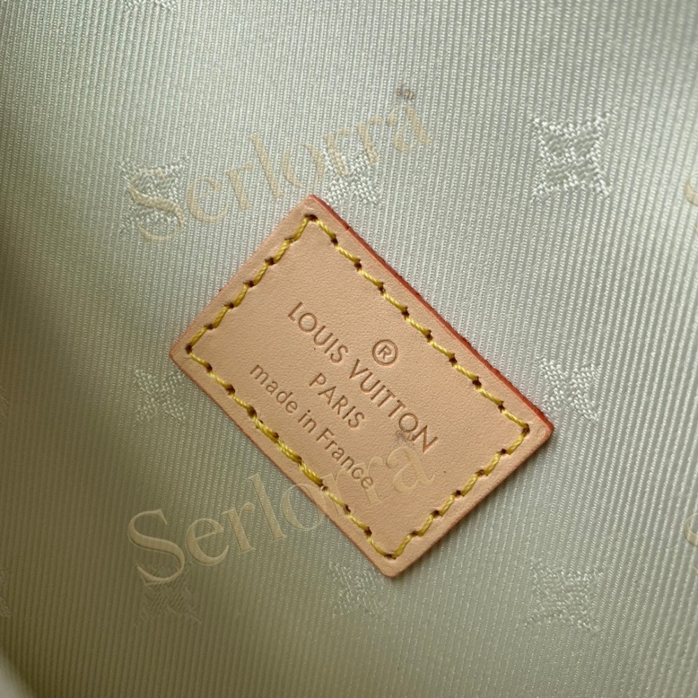 LOUIS VUITTON WALLET ON CHAIN IVY