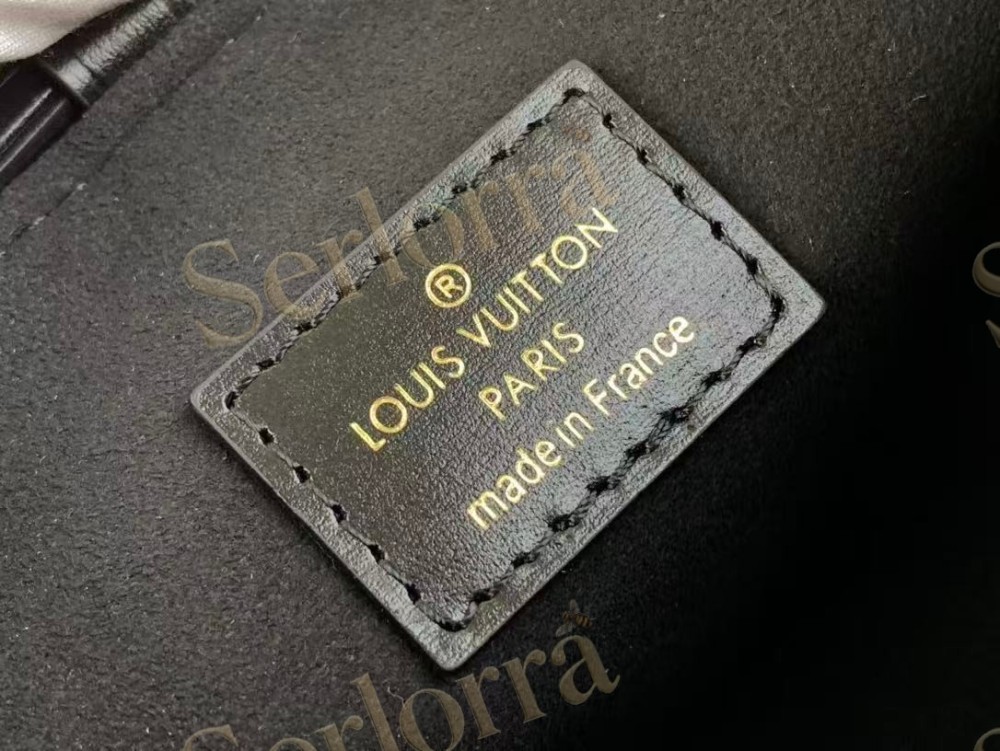 LOUIS VUITTON NOÉ PURSE LV CHARMS