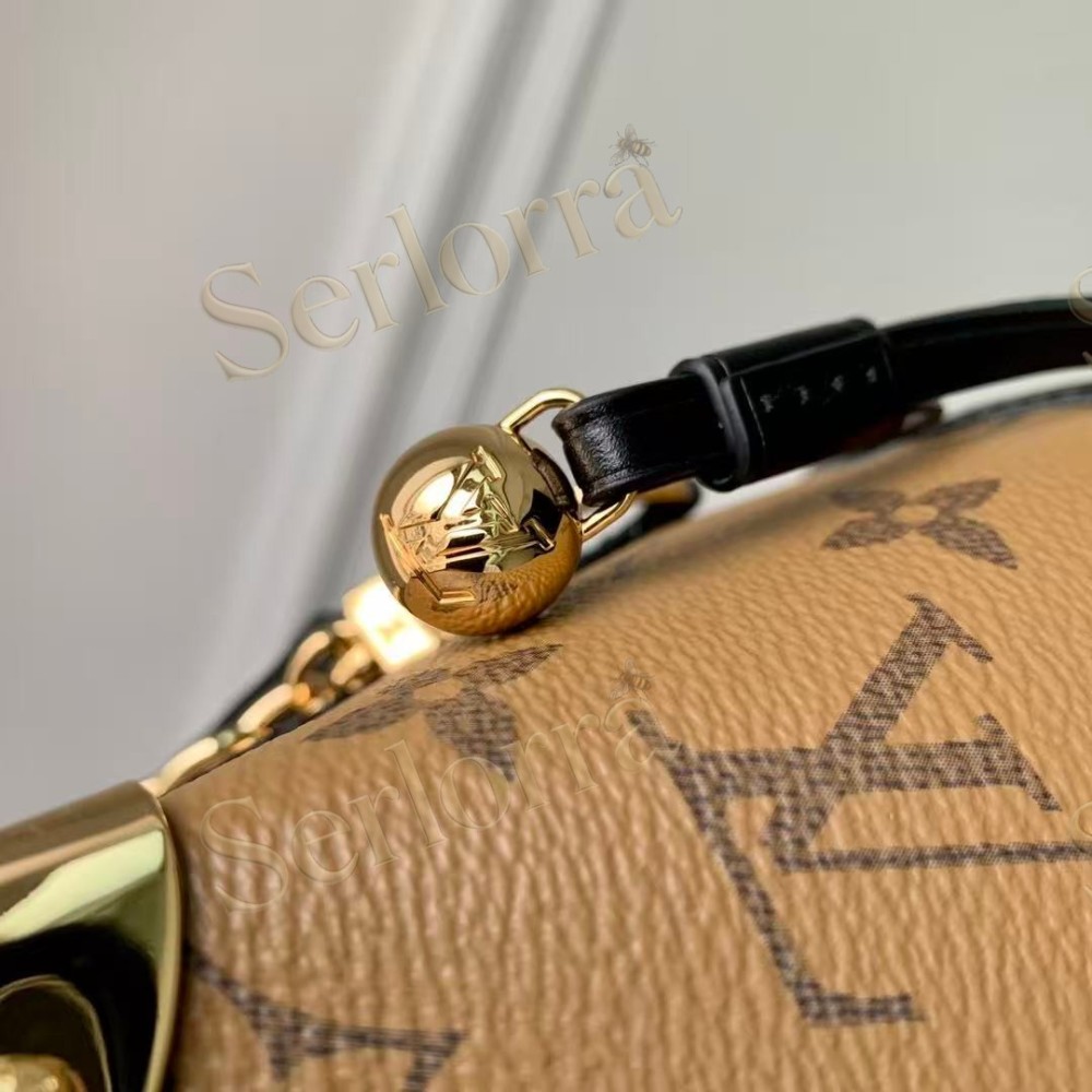LOUIS VUITTON NOÉ PURSE LV CHARMS