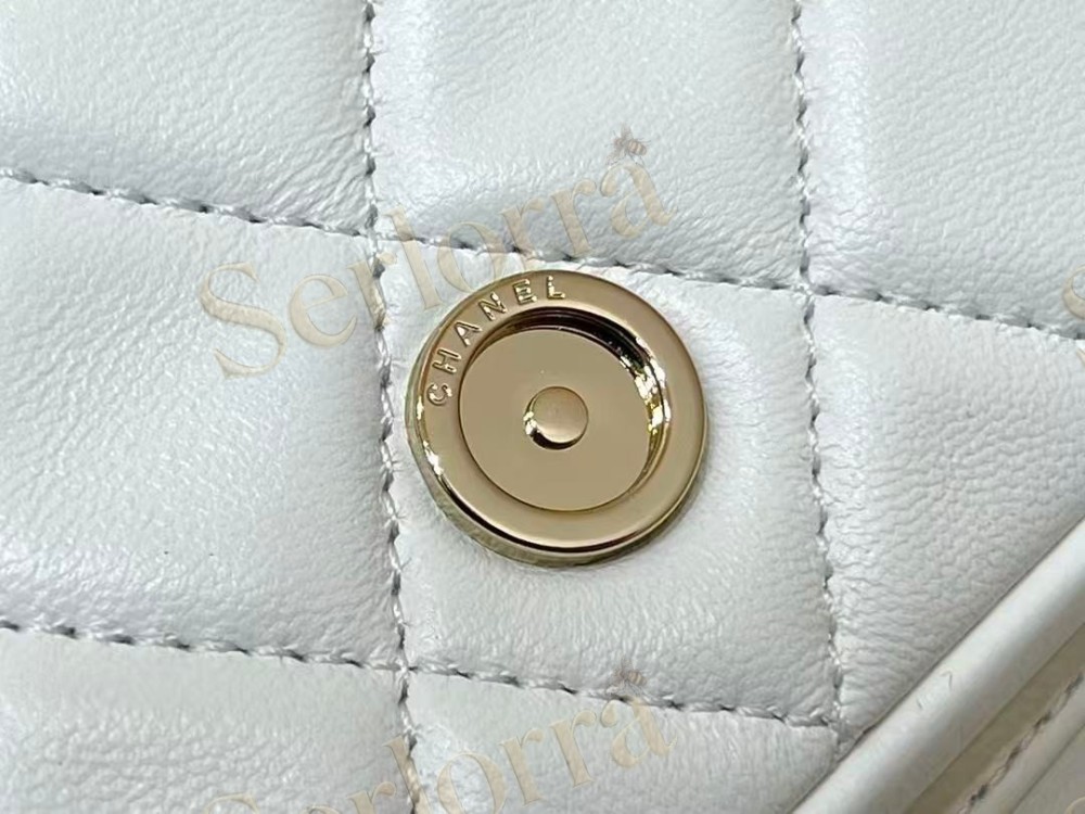 CHANEL MASTER LAMBSKIN DUMA BACKPACK