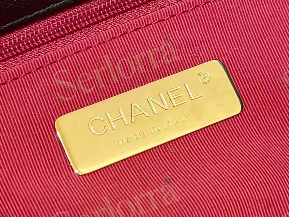 CHANEL MASTER 19 HOBO GOATSKIN SHOULDER BAG
