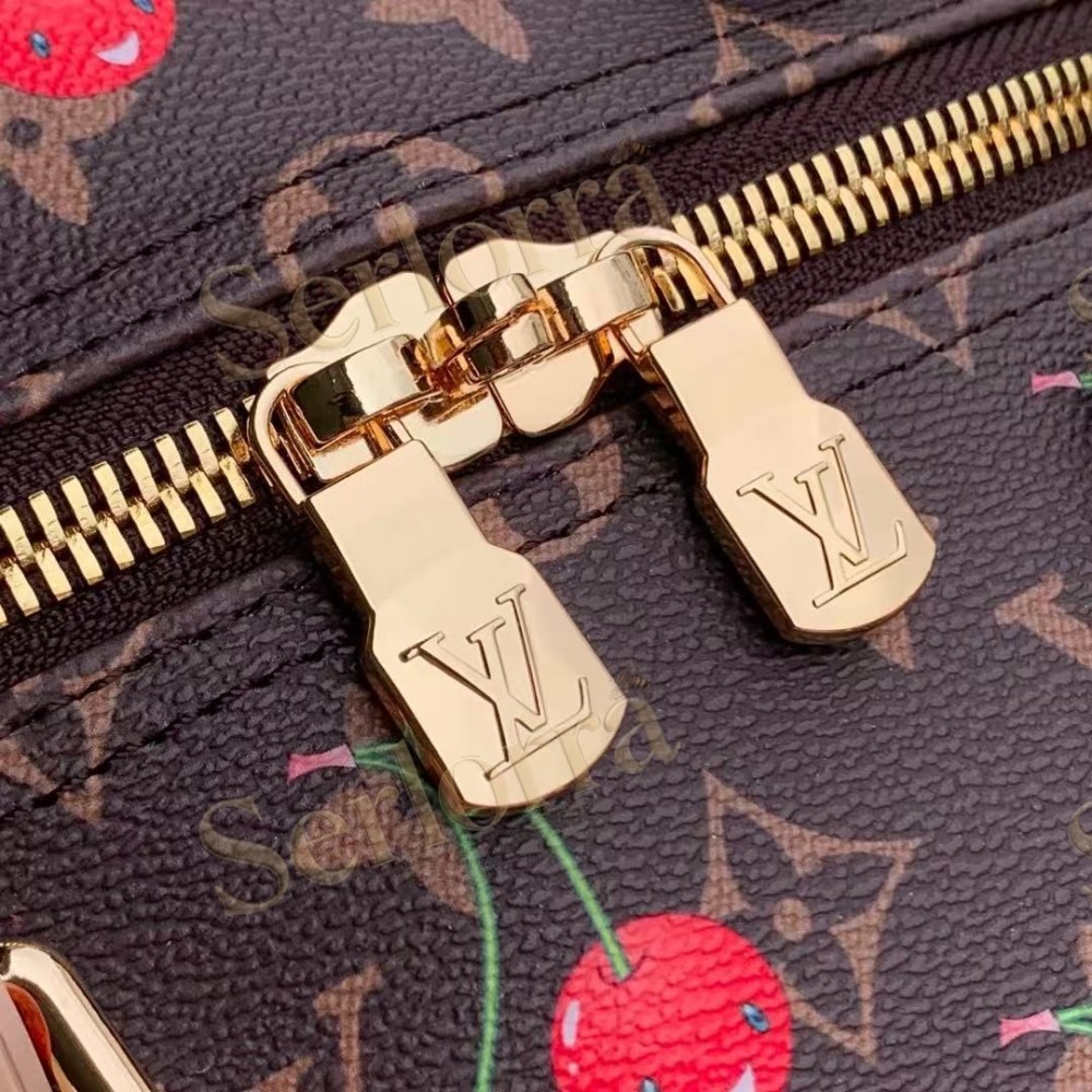 LOUIS VUITTON MURAKAMI LV X TM KEEPALL BANDOULIÈRE 45