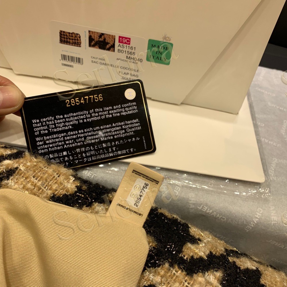 CHANEL MASTER MAXI 19 MESH FLAP WITH TWO-TONE CHAIN