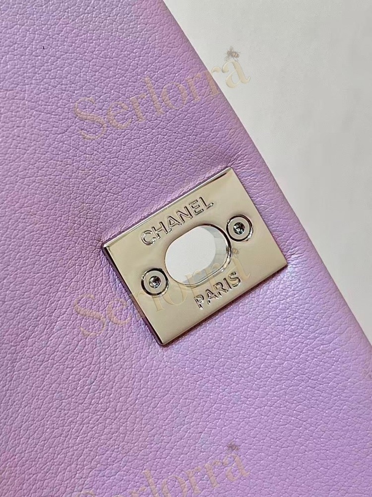 CHANEL MASTER CALFSKIN DUMA BACKPACK