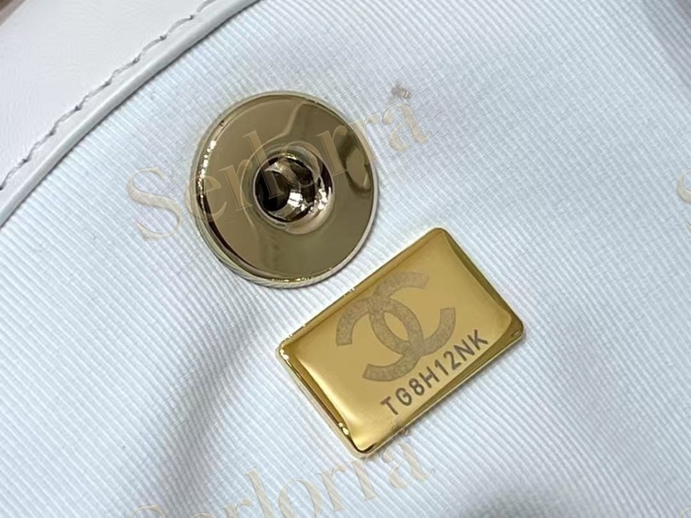 CHANEL MASTER LAMBSKIN DUMA BACKPACK