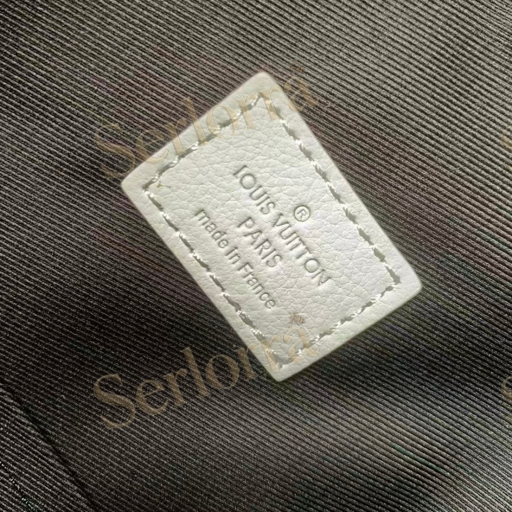 LOUIS VUITTON DISCOVERY BACKPACK