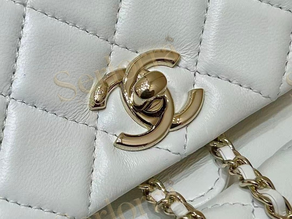 CHANEL MASTER LAMBSKIN DUMA BACKPACK