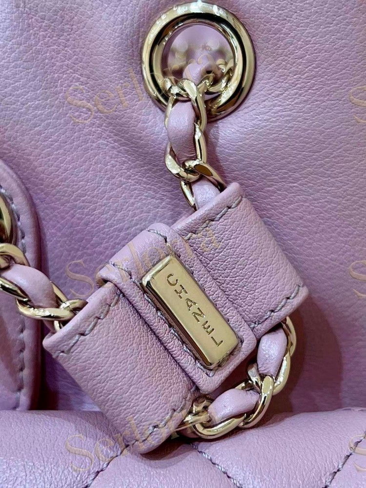 CHANEL MASTER CALFSKIN DUMA BACKPACK
