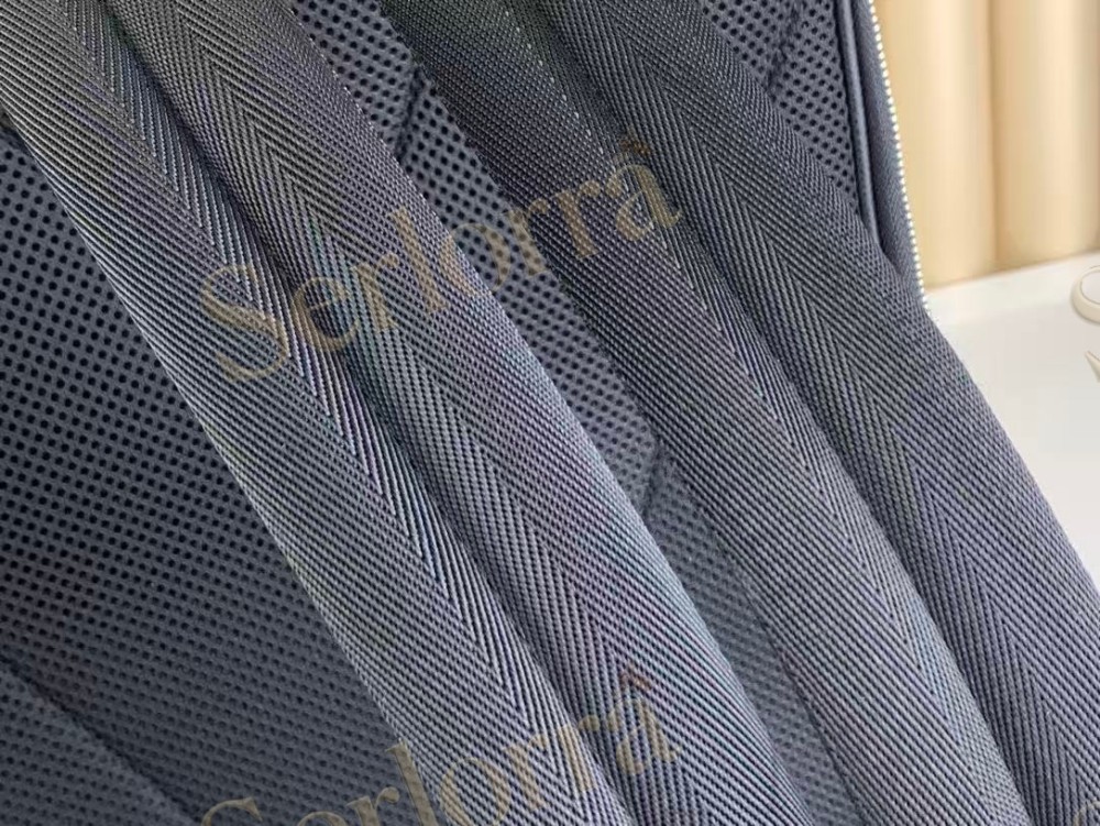 LOUIS VUITTON AVENUE BACKPACK